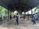 Probolinggo Masih Kekurangan Fasilitas dan Event Besar, tapi Lomba Kicau Jalan Terus