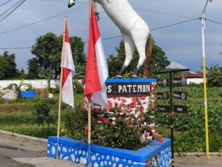 Peringati hari kemerdekaan Republik Indonesia yang ke - 80. Pemerintah desa patemon adakan lomba karnaval 