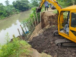 Hari Ketiga Perbaikan Tanggul Jebol, Warga Sukokerto Kompak Gotong Royong Normalisasi Sungai