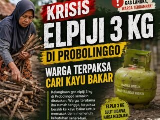 Krisis Elpiji 3 Kg di Probolinggo: Warga Terpaksa Cari Kayu Bakar, Pemkab Sebut Indikasi Panic Buying